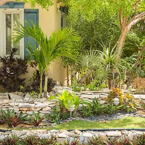 4* リゾート Kokomo Botanical - Caribbean Family